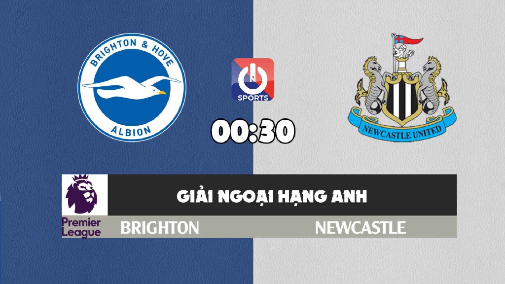 Nhận định, soi kèo trận Brighton vs Newcastle, 08h00 ngày 5/11
